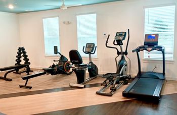 A gym with a row of exercise machines including a rowing machine, a stationary bike, and a treadmill.